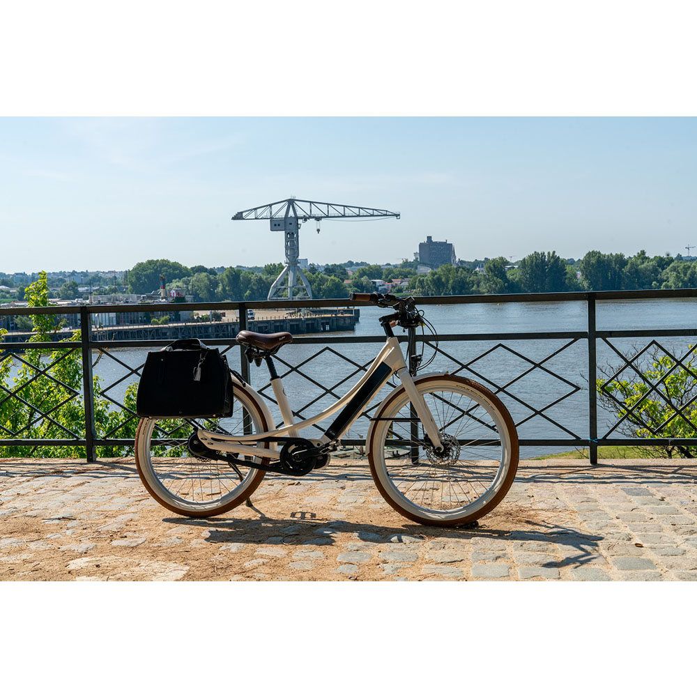 reine-bike-situation